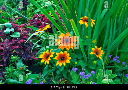 Letti di fiori, percorsi da giardino e composizioni floreali presso i Giardini Inglesi in Assiniboine Park in Winnipeg, Manitoba, Canada. Foto Stock