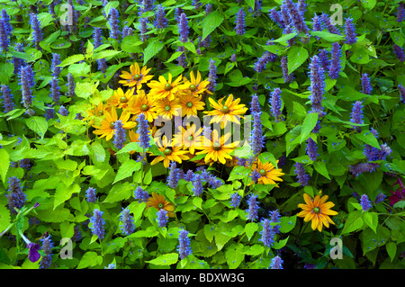 Letti di fiori, percorsi da giardino e composizioni floreali presso i Giardini Inglesi in Assiniboine Park in Winnipeg, Manitoba, Canada. Foto Stock