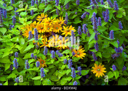 Letti di fiori, percorsi da giardino e composizioni floreali presso i Giardini Inglesi in Assiniboine Park in Winnipeg, Manitoba, Canada. Foto Stock