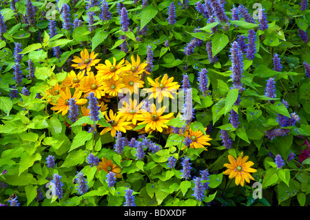 Letti di fiori, percorsi da giardino e composizioni floreali presso i Giardini Inglesi in Assiniboine Park in Winnipeg, Manitoba, Canada. Foto Stock