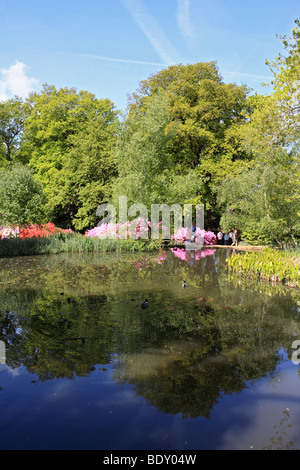 Stagno in Isabella Plantation, Richmond Park, a sud ovest di Londra, Inghilterra, Regno Unito. Foto Stock