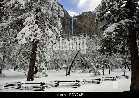 Una tempesta di clearing rivela la bellezza di Bridalveil Falls e la valle di Yosemite, Yosemite National Park, California, Stati Uniti d'America. Foto Stock