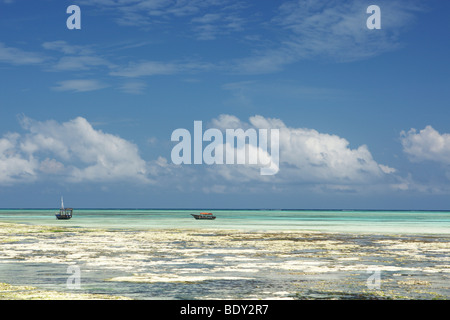 Spiaggia da sogno a Zanzibar, Tanzania Africa Foto Stock