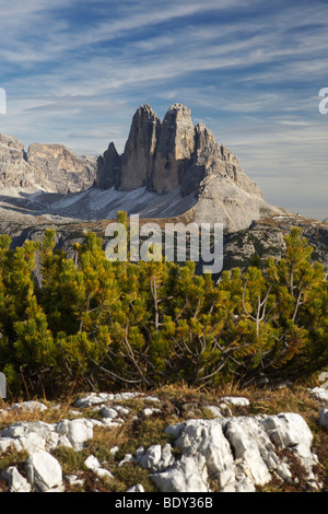 Tre Cime di Lavaredo montagne, tre picchi visti da pallido die Misurina, Dolomiti, Alto Adige, Italia, Europa Foto Stock