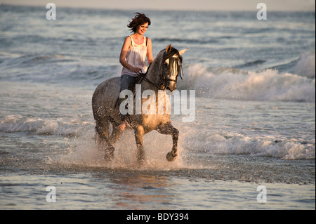 Equitazione donna cavallo andaluso sulla spiaggia vicino a Santa Barbara in California Foto Stock