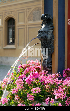 Casella di pesce o Syrlin Fontana Fontana di mercato presso il Municipio, un punto di riferimento e la più antica fontana di Ulm, Baden-Wuerttemberg, Germa Foto Stock