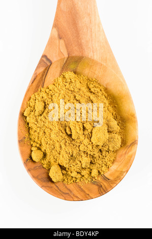 Madras curry spice blend su un cucchiaio di legno d'ulivo Foto Stock