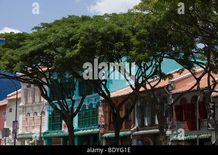 Case restaurate, Tanjong Pagar distretto, Chinatown, Singapore Foto Stock