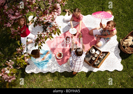 Bambini aventi picnic in campagna Foto Stock