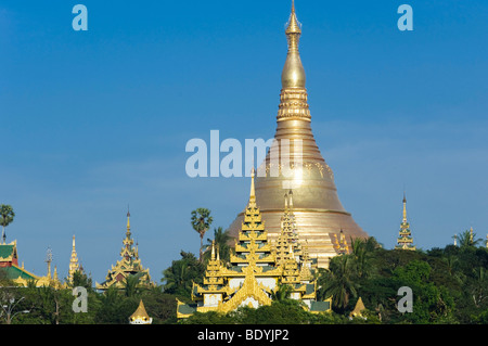 Stupa dorato di Shwedagon pagoda, Rangoon, Yangon, Birmania, birmania, myanmar, Asia Foto Stock