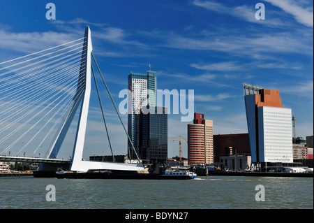 Ponte Erasmus di Rotterdam Paesi Bassi, Europa Foto Stock