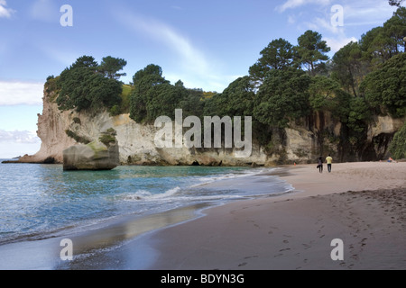 Cove della cattedrale, Penisola di Coromandel, Isola del nord, Nuova Zelanda Foto Stock