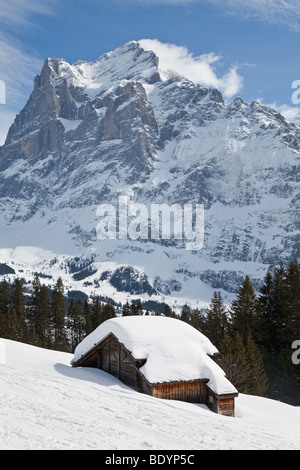 Wetterhorn mountain (3692m), Grindelwald, regione di Jungfrau, Oberland bernese, alpi svizzere, Svizzera Foto Stock