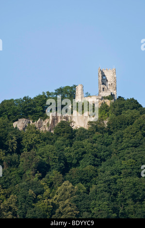 Drachenfels, Dragon's Rock, le rovine del castello di Drachenfels sul Reno, Koenigswinter, Renania settentrionale-Vestfalia, Germania, Europa Foto Stock