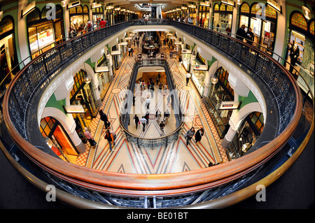 Le balaustre, portici, boutique, QVB, Queen Victoria Building, Centro shopping, Sydney, Nuovo Galles del Sud, Australia Foto Stock