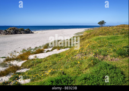 Mount Maunganui Beach, Baia di Planty, Nuova Zelanda. Foto Stock