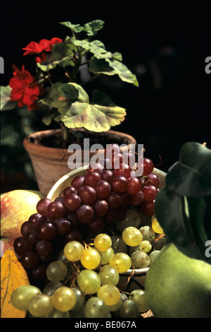 Close-up con frutta, uva, pera, mela e fiore rosso in vaso Foto Stock