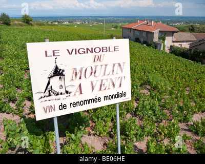 Un cartello in una vigna annuncia il rinomato vino Beaujolais di Moulin à Vent. Foto Stock