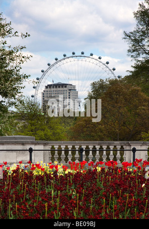 London Eye da Buckingham Palace a Londra, Inghilterra Foto Stock