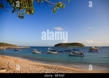 Stati Uniti d'America, Caraibi, Puerto Rico, l'isola di Vieques, Esperanza Bay Foto Stock