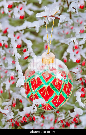 Decorazione per albero di natale nella neve/ghiaccio con bacche rosse. Foto Stock