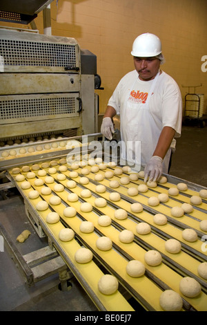 Tortilla di mais fabbrica di trasformazione situato a Caldwell, Idaho, Stati Uniti d'America. Foto Stock