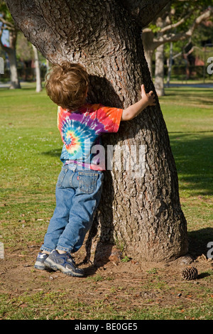 Ragazzo giovane costeggiata tree. (MR) Foto Stock