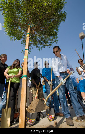 Sindaco Antonio Villaraigosa in corrispondenza di una piantagione di alberi lungo la strada della missione nella zona est di Los Angeles in Los Angeles, California Foto Stock