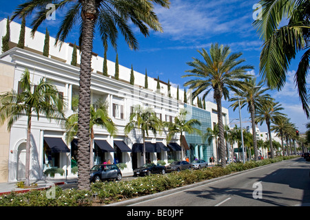 Rodeo Drive. Beverly Hills, Los Angeles, California, Stati Uniti d'America Foto Stock