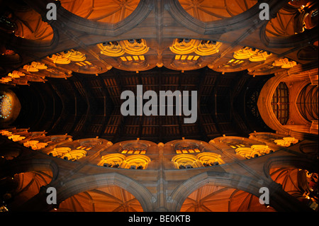 Interior shot del coro, navata con soffitto in legno, St. Mary s Cathedral di Sydney, Nuovo Galles del Sud, Australia Foto Stock