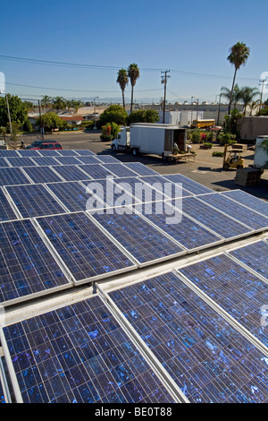 Array solare sul tetto dell'ABC Tree Nursery, Gardena, CALIFORNIA, STATI UNITI D'AMERICA Foto Stock