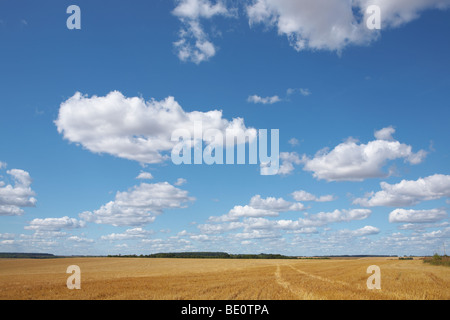 Nuvole sopra lo sfondo del campo Foto Stock