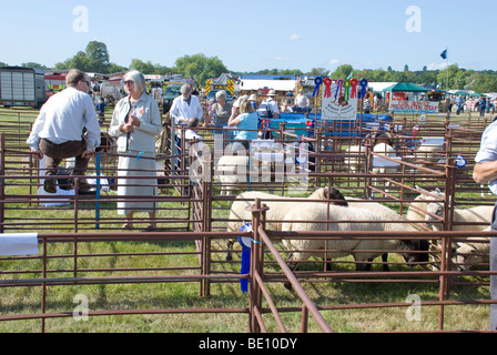 Romsey Visualizza ovili Foto Stock