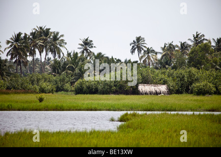 Case sedersi in mezzo ai campi di riso a Ouidah, Benin. Foto Stock