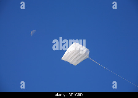 Aquilone gigante al 2009 Bristol Kite Festival. Foto Stock