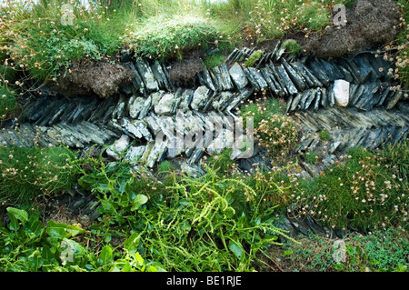 Un tipico del nord della Cornovaglia a lisca di pesce secco pattern muro di pietra. Foto Stock