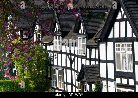 Attraente Black & White Cottages in primavera, Sandbach, Cheshire, Inghilterra, Regno Unito Foto Stock