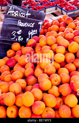 Albicocche per la vendita al mercato in Saint Remy de Provence Francia Foto Stock