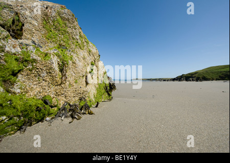 Vasta distesa di spiaggia vuota con il mare all'orizzonte sul Penrhyn Llyn peninsula, Galles Foto Stock