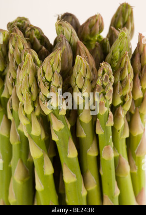 Consigli di asparagi. L'asparago è una grande fonte di fibre, folati, potassio, vitamina C ed è alto in antiossidanti Foto Stock