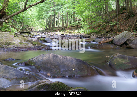 Hylaty (Szepit) ruscello di montagna e cascata Foto Stock