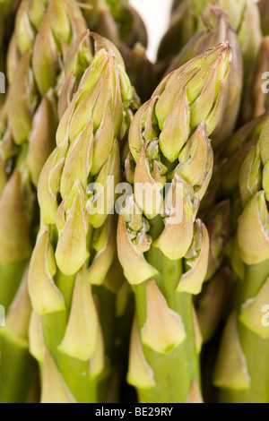 Gli asparagi sono una grande fonte di fibra, il folato, potassio, vitamina C ed è elevata in antiossidanti Foto Stock