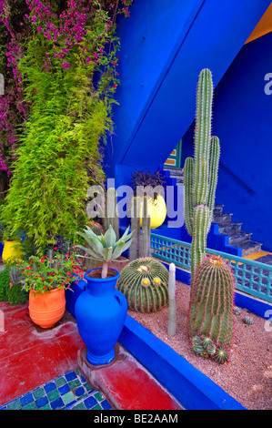 Un dettaglio del vecchio studio di Jacques Majorelle, ora il Museo al Jardin Majorelle di Marrakech con cactus e piante grasse Foto Stock