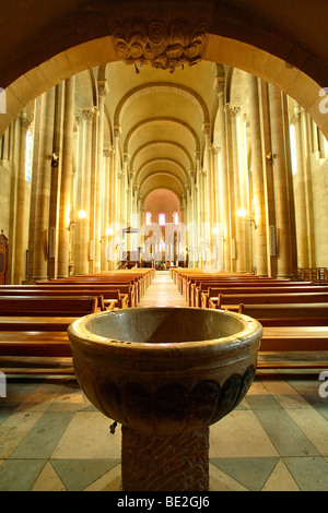 SAINT APPOLINAIRE CATTEDRALE, Valenza, Drome, Francia Foto Stock