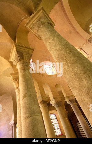 SAINT APPOLINAIRE CATTEDRALE, Valenza, Drome, Francia Foto Stock