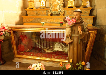 SAINT APPOLINAIRE CATTEDRALE, Valenza, Drome, Provenza, FRANCIA Foto Stock