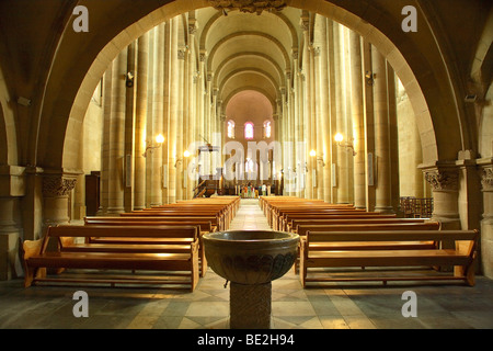 SAINT APPOLINAIRE CATTEDRALE, Valenza, Drome, Francia Foto Stock