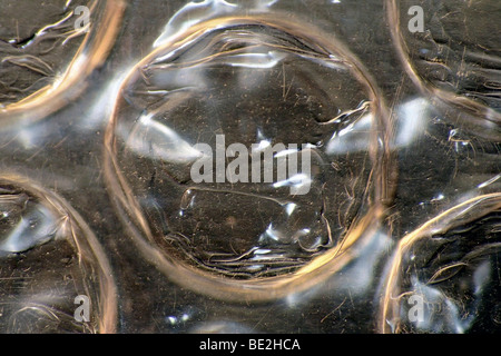 Bolla di aria film, macro Foto Stock