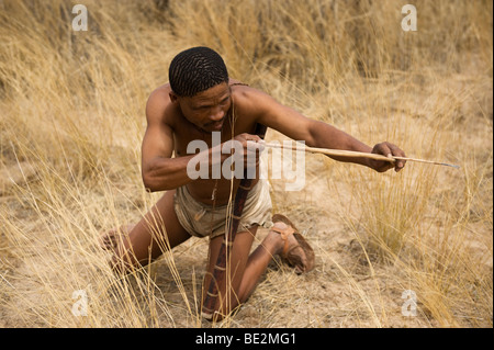 Naro bushman (SAN) caccia con arco e frecce, Central Kalahari Botswana Foto Stock