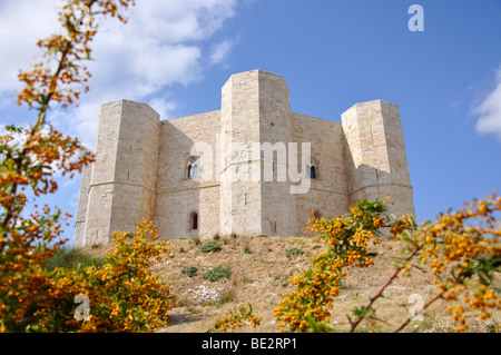 Xiii secolo Castel del Monte Andria, Barletta-Andria-Trani Provincia, Regione Puglia, Italia Foto Stock